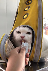 Gentle Paws Clinic
