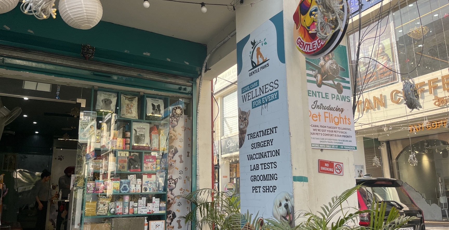Gentle Paws Clinic
